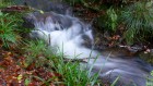 Bild Neun