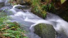 Bild Sieben