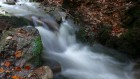Bild Dreizehn