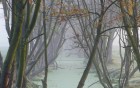Bild Acht