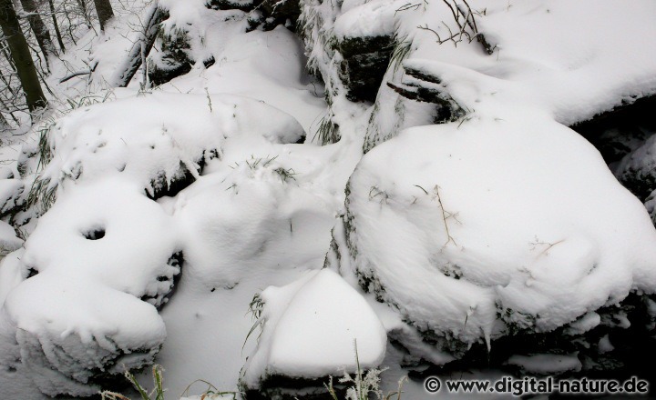 Schneebedeckte Felsen