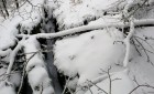 Bild Sechs
