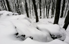 Winter auf dem Amelungsberg