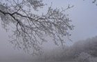 Hohes Holz Wunstorf