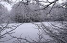 Winter im Stadtfeld Wunstorf