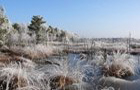 Wintermoor