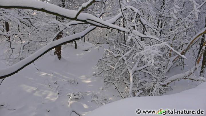 Schneelandschaft im Deister