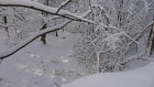 Bild Sechs