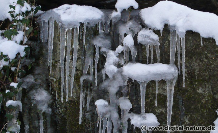Vereisungen und Eiszapfen