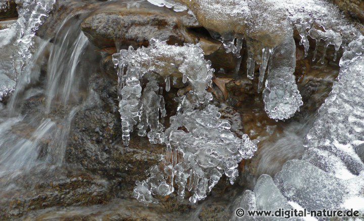 Eis und Frost