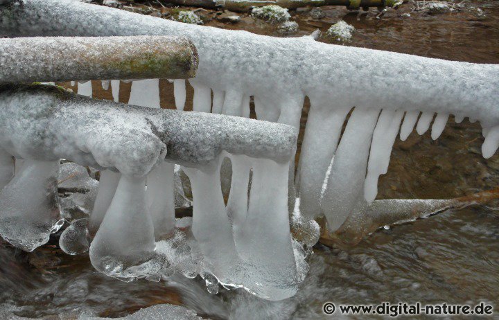 Mittelgebirgsbach im Winter