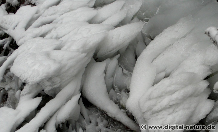 Schneeverwehung und Eis