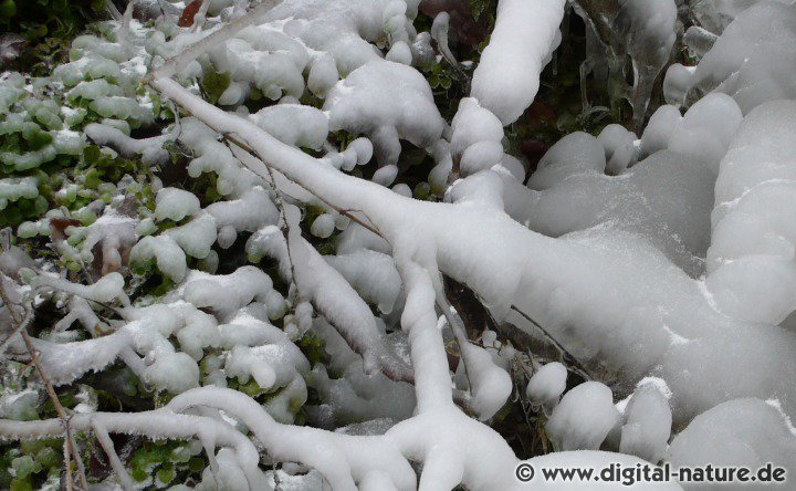 Eiswelten