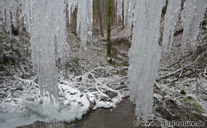 Abstrakte Eiswelten