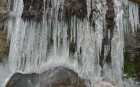Bild Neun