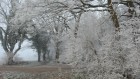 Bild Neun