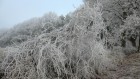 Bild Acht