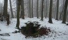 Bild Drei