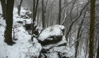Bild Sieben