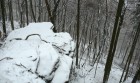 Bild Zwei