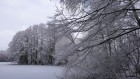 Bild Eins