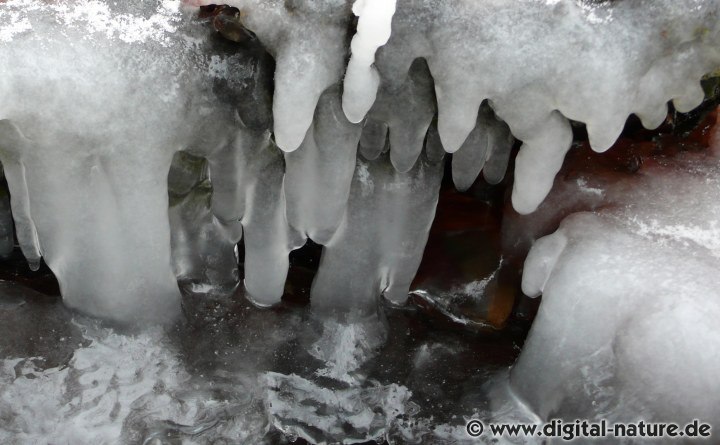 Eisstruktur im Bach