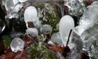 Bild Sechs