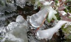 Bild Vier