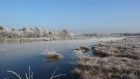 Bild Sieben