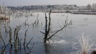 Bild Vier