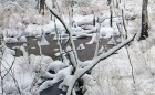 Bild Acht