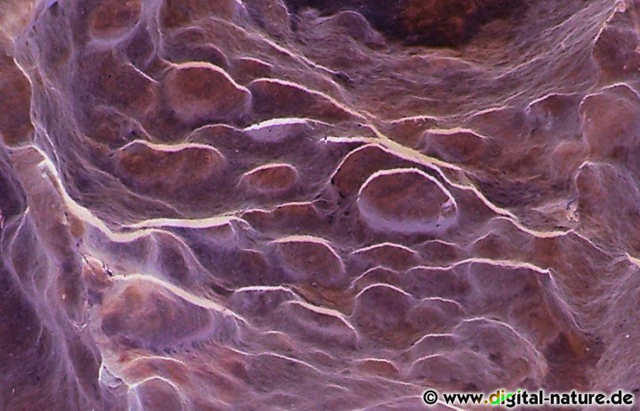 Psychedelische Höhle