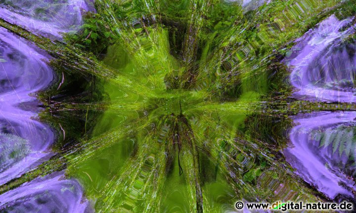 Psychedelische Natur