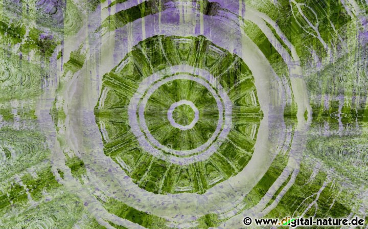 Baum-Mandala Fotokunst