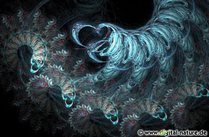 Apophysis_080416_2368_detail.jpg