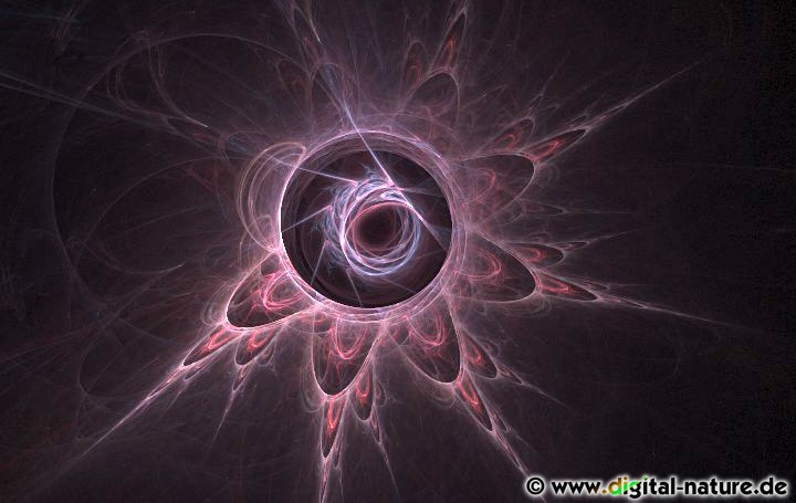 Apophysis_080423_1422_detail.jpg