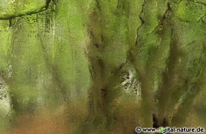 Wald Photopainting