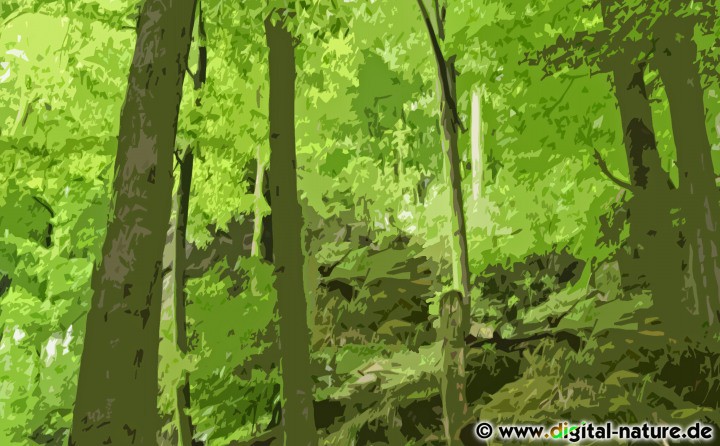 Wald Digital-Painting