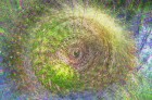 Bild Neun