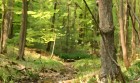 Bild Fünf