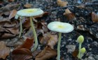 Bild Zwei