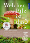 Welcher Pilz