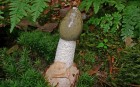 Bild Eins