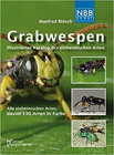 Grabwespen