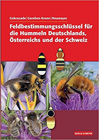 Feldbestimmungsschlüssel Hummeln
