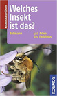 Welches Insekt ist das