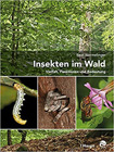 Insekten im Wald