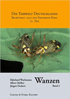 Cimicomorpha