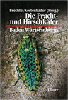 Prachtkäfer
